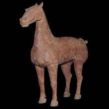 Cheval debout à l'arrêt